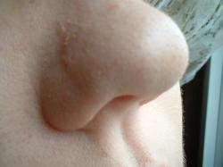 <img250*0:stuff/z/169023/Nose%2520Stock/i1256079647_9.jpg>