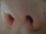 <img150*0:stuff/z/169023/Nose9/i1258663865_9.jpg>