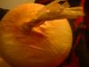 <img100*0:stuff/z/169023/Onion%252023/i1259706322_3.jpg>