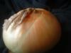 <img100*0:stuff/z/169023/Onion%252023/i1259706322_5.jpg>