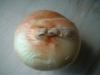 <img100*0:stuff/z/169023/Onion%252023/i1259706322_6.jpg>