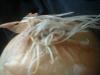 <img100*0:stuff/z/169023/Onion%252023/i1259706322_8.jpg>