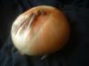 <img100*0:stuff/z/169023/Onion%252023/i1259706323_23.jpg>