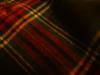 <img100*0:stuff/z/169023/Plaid%252030/i1259800905_14.jpg>