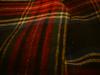 <img100*0:stuff/z/169023/Plaid%252030/i1259800905_19.jpg>