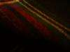 <img100*0:stuff/z/169023/Plaid%252030/i1259800905_20.jpg>
