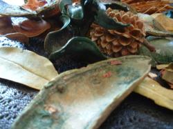 <img250*0:stuff/z/169023/Potpourri/i1255994688_2.jpg>
