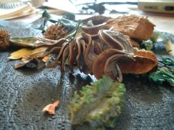 <img250*0:stuff/z/169023/Potpourri/i1255994688_3.jpg>