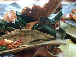 <img250*0:stuff/z/169023/Potpourri/i1255994688_5.jpg>