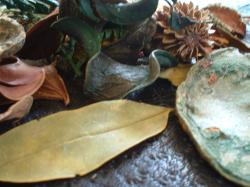 <img250*0:stuff/z/169023/Potpourri/i1255994689_10.jpg>