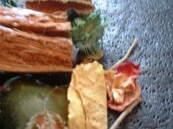 <img250*0:stuff/z/169023/Potpourri/i1255994689_11.jpg>