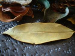 <img250*0:stuff/z/169023/Potpourri/i1255994689_12.jpg>