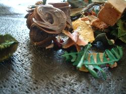 <img250*0:stuff/z/169023/Potpourri/i1255994689_13.jpg>