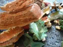 <img250*0:stuff/z/169023/Potpourri/i1255994689_14.jpg>
