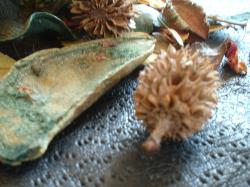 <img250*0:stuff/z/169023/Potpourri/i1255994689_15.jpg>
