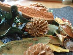 <img250*0:stuff/z/169023/Potpourri/i1255994689_16.jpg>