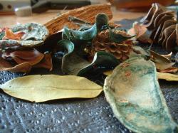 <img250*0:stuff/z/169023/Potpourri/i1255994689_7.jpg>