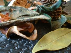 <img250*0:stuff/z/169023/Potpourri/i1255994690_17.jpg>