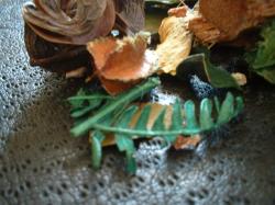<img250*0:stuff/z/169023/Potpourri/i1255994690_18.jpg>