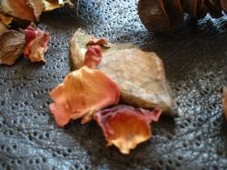 <img250*0:stuff/z/169023/Potpourri/i1255994690_20.jpg>