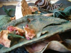 <img250*0:stuff/z/169023/Potpourri/i1255994690_21.jpg>