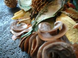 <img250*0:stuff/z/169023/Potpourri/i1255994690_22.jpg>