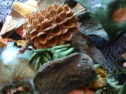 <img250*0:stuff/z/169023/Potpourri/i1255994690_23.jpg>