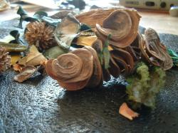<img250*0:stuff/z/169023/Potpourri/i1255994691_29.jpg>