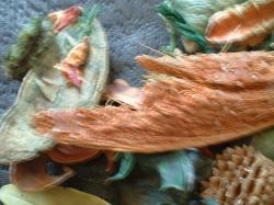 <img250*0:stuff/z/169023/Potpourri/i1255994691_32.jpg>