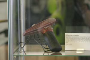 <img300*0:stuff/z/169023/Propworx%2520Memorabilia%2520Auction%2520/i1283882091_10.jpg>
