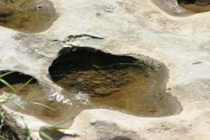 <img300*0:stuff/z/169023/Puddles%2520of%2520Water/i1279822244_1.jpg>