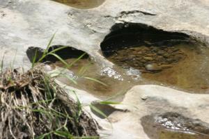 <img300*0:stuff/z/169023/Puddles%2520of%2520Water/i1279822244_10.jpg>