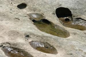 <img300*0:stuff/z/169023/Puddles%2520of%2520Water/i1279822244_11.jpg>
