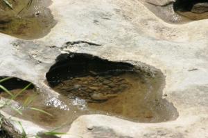 <img300*0:stuff/z/169023/Puddles%2520of%2520Water/i1279822244_2.jpg>