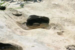 <img300*0:stuff/z/169023/Puddles%2520of%2520Water/i1279822244_3.jpg>