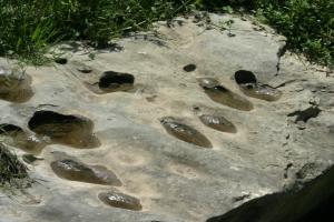 <img300*0:stuff/z/169023/Puddles%2520of%2520Water/i1279822244_4.jpg>