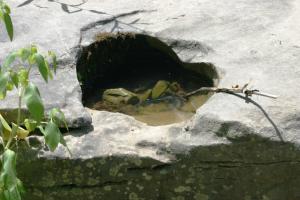 <img300*0:stuff/z/169023/Puddles%2520of%2520Water/i1279822244_5.jpg>
