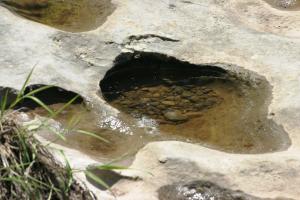 <img300*0:stuff/z/169023/Puddles%2520of%2520Water/i1279822244_6.jpg>