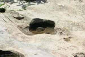 <img300*0:stuff/z/169023/Puddles%2520of%2520Water/i1279822244_7.jpg>