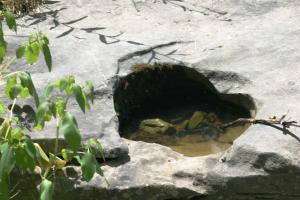 <img300*0:stuff/z/169023/Puddles%2520of%2520Water/i1279822244_9.jpg>
