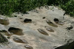 <img300*0:stuff/z/169023/Puddles%2520of%2520Water/i1279822245_12.jpg>