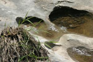 <img300*0:stuff/z/169023/Puddles%2520of%2520Water/i1279822245_13.jpg>