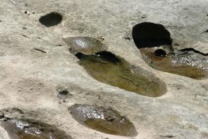 <img300*0:stuff/z/169023/Puddles%2520of%2520Water/i1279822245_14.jpg>