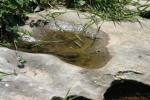 <img300*0:stuff/z/169023/Puddles%2520of%2520Water/i1279822245_16.jpg>
