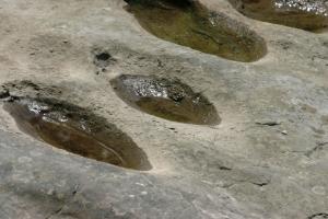 <img300*0:stuff/z/169023/Puddles%2520of%2520Water/i1279822245_17.jpg>