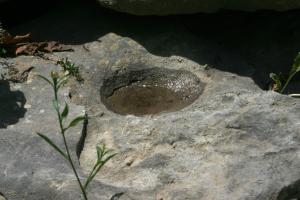 <img300*0:stuff/z/169023/Puddles%2520of%2520Water/i1279822245_18.jpg>
