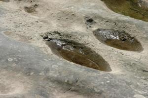 <img300*0:stuff/z/169023/Puddles%2520of%2520Water/i1279822245_20.jpg>