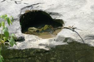 <img300*0:stuff/z/169023/Puddles%2520of%2520Water/i1279822246_24.jpg>