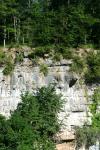 <img100*0:stuff/z/169023/RF2/i1279754693_2.jpg>