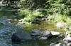 <img100*0:stuff/z/169023/RS2/i1279755208_1.jpg>